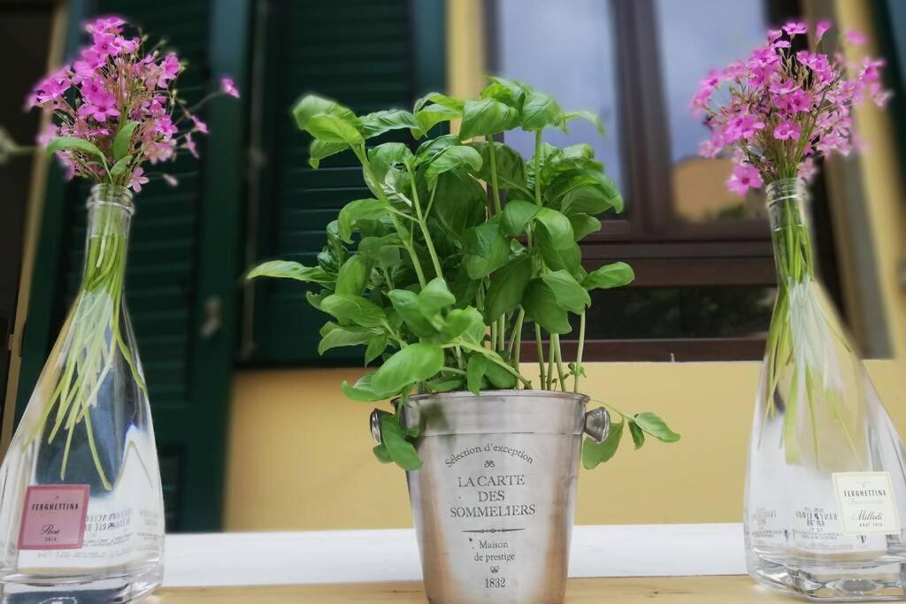 Flower Garden Apartment Vicino Al Centro Florenz Exterior foto